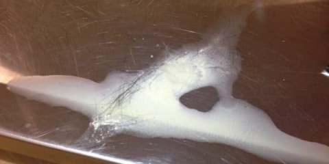 Zec koji piša krvlju: crvena mokraća u ukrasu, šta to znači, razlozi zašto je krv u mokraći